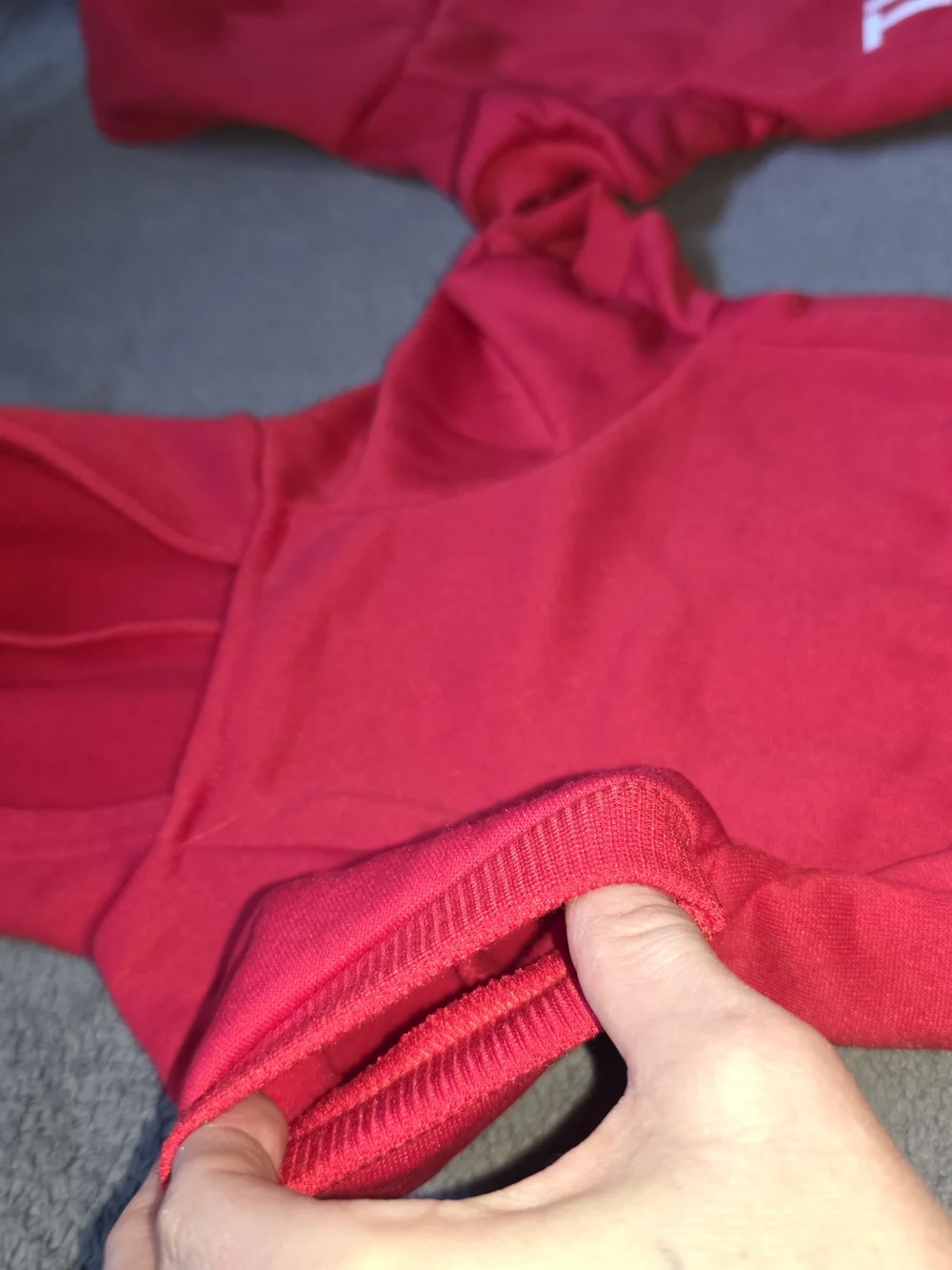 Hooded Dog Sweatshirt- NWOT 'THE DOG FACE'